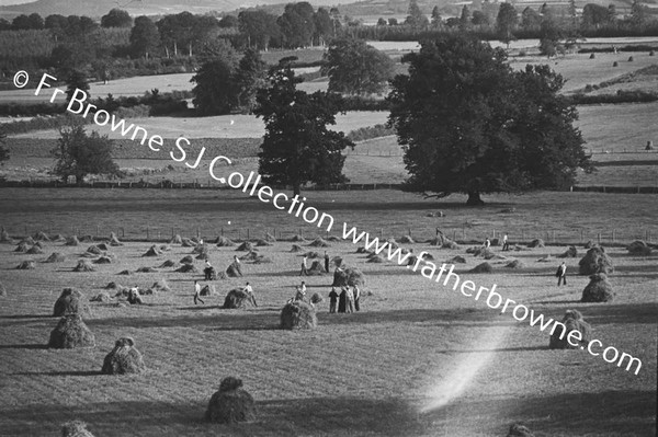 NOVICES HARVESTING IN FRONT OF HOUSE